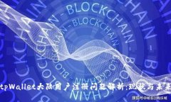 tpWallet大陆用户注册问题解析：现状与未来