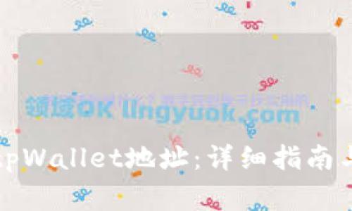 如何正确填写tpWallet地址：详细指南与常见问题解析