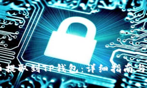 如何将Doge币提取到TP钱包：详细指南与常见问题解答