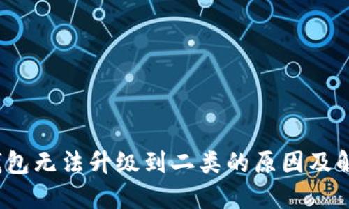  数字钱包无法升级到二类的原因及解决方案