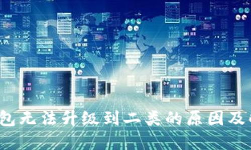  数字钱包无法升级到二类的原因及解决方案
