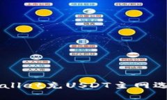  如何使用tpWallet充USDT主网选择：全方位指南