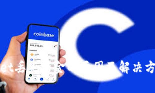 tpWallet丢失资金的原因及解决方案详解