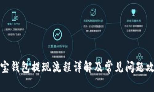 波宝钱包提现流程详解及常见问题攻略