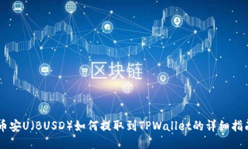 币安U（BUSD）如何提取到TPWallet的详细指南