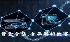 riaotitpWallet资金合集：全面解析数字资产管理与安