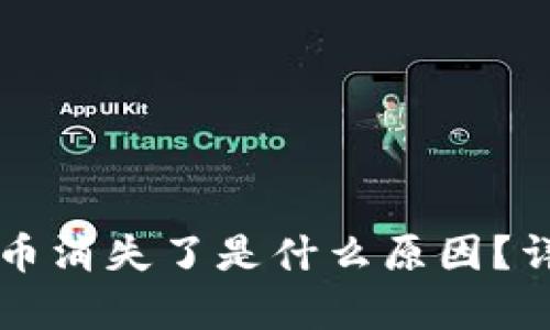 tpWallet里的币消失了是什么原因？详解及解决方法