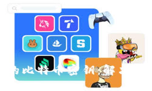 如何找回丢失的比特币密钥：解决方案与预防措施