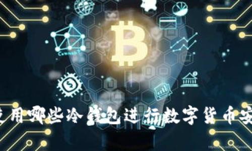香港人使用哪些冷钱包进行数字货币安全存储？