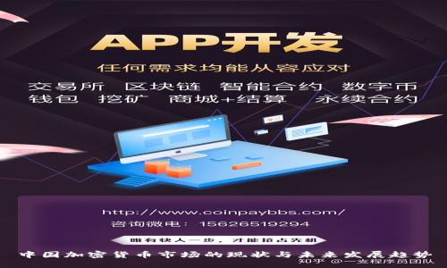 中国加密货币市场的现状与未来发展趋势