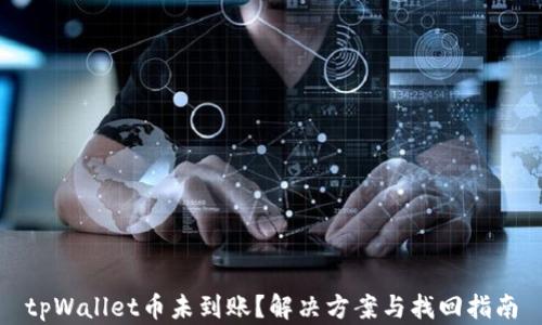 
tpWallet币未到账？解决方案与找回指南