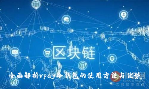 全面解析vpay冷钱包的使用方法与优势