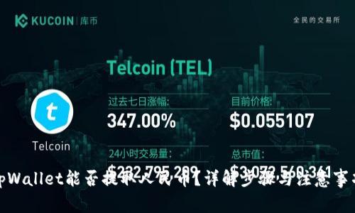 tpWallet能否提取人民币？详解步骤与注意事项