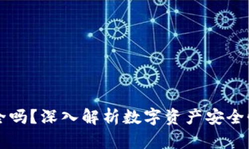 苹果冷链钱包安全吗？深入解析数字资产安全性与冷链存储技术