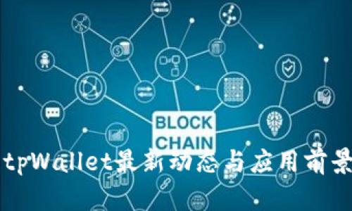 国内tpWallet最新动态与应用前景分析