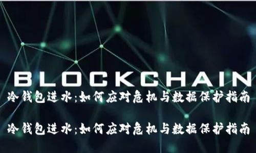 冷钱包进水：如何应对危机与数据保护指南

冷钱包进水：如何应对危机与数据保护指南