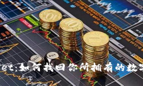 tpWallet：如何找回你所拥有的数字货币？