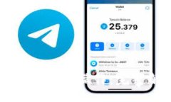 alang   如何取消tpWallet转账错误操作：完整解决方