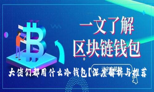 大佬们都用什么冷钱包？深度解析与推荐