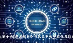 冷钱包安全吗？深度解析冷钱包盗取的可能性与