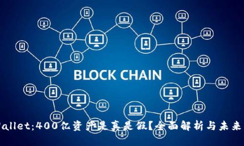 tpWallet：400亿资产是真是假？全面解析与未来展望