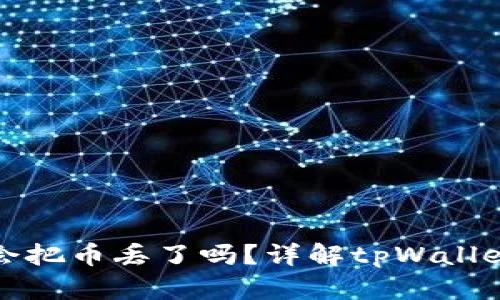 tpWallet打包会把币丢了吗？详解tpWallet使用与安全性