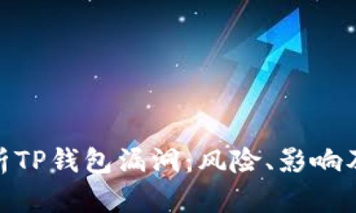 : 深度解析TP钱包漏洞：风险、影响及防范措施