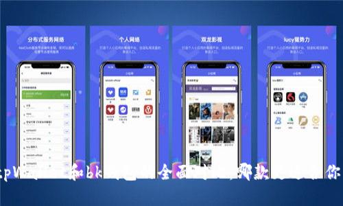 tpWallet和bk钱包的全面对比：哪款更适合你？