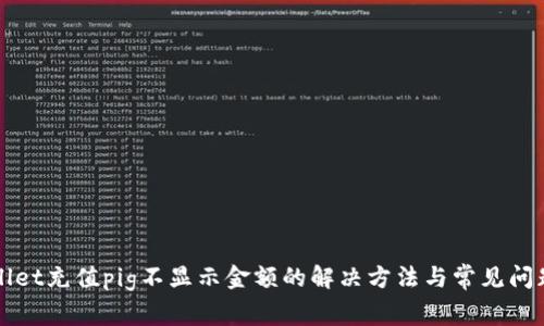 tpWallet充值pig不显示金额的解决方法与常见问题解析