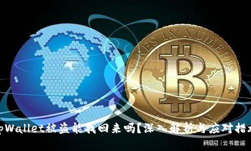 tpWallet被盗能找回来吗？深入解析与应对措施