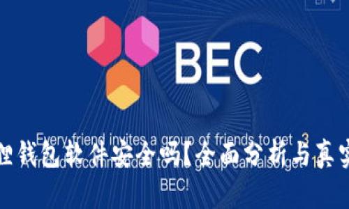 小狐狸钱包软件安全吗？全面分析与真实评价