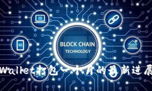 详细分析tpWallet打包一个月的最新进展与市场影响