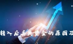 tpWallet转入后丢失资金的原因及解决方案