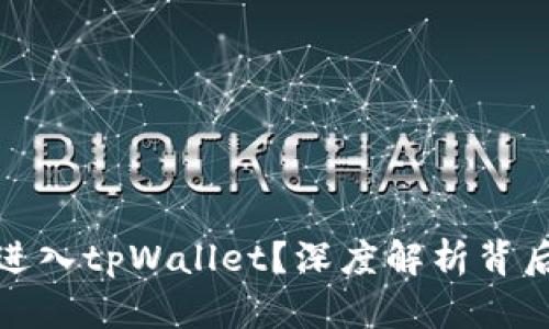 虚拟币为何能进入tpWallet？深度解析背后的原因和影响