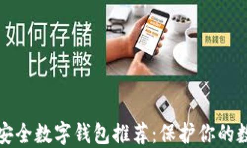
全球最安全数字钱包推荐：保护你的数字资产