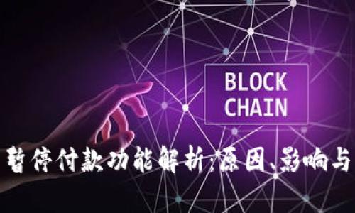 数字钱包暂停付款功能解析：原因、影响与解决方案