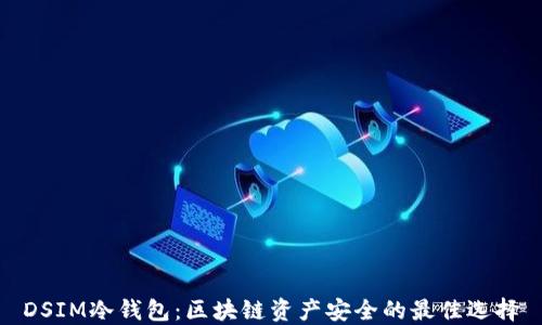 
DSIM冷钱包：区块链资产安全的最佳选择