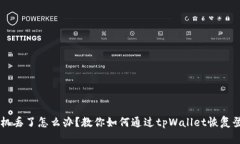 手机丢了怎么办？教你如何通过tpWallet恢复登录