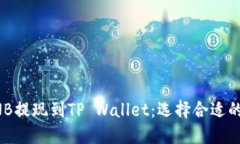 如何将BNB提现到TP Wallet：选择合适的链的指南