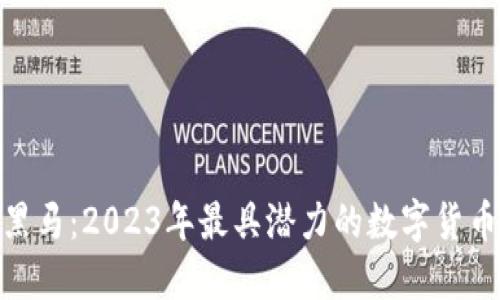 加密货币黑马：2023年最具潜力的数字货币投资机会