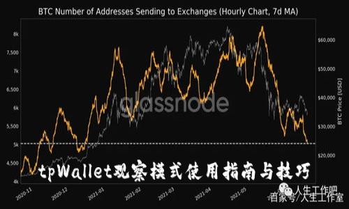 tpWallet观察模式使用指南与技巧