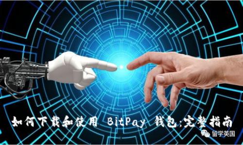 如何下载和使用 BitPay 钱包：完整指南
