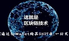 如何通过tpWallet购买SHIT币：一站式指南
