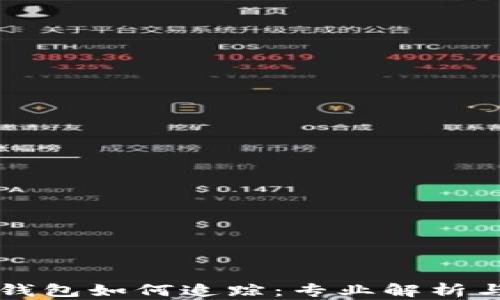 
区块链冷钱包如何追踪：专业解析与实用指南