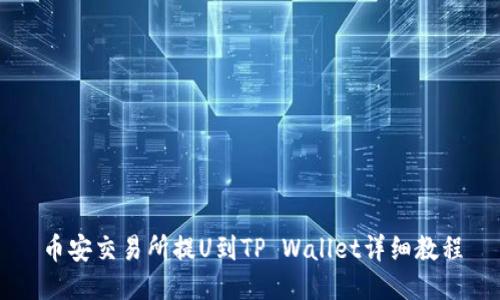 币安交易所提U到TP Wallet详细教程