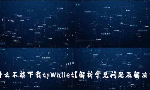 为什么不能下载tpWallet？解析常见问题及解决方案