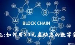 数字钱包：如何用30元启动您的数字金融之旅
