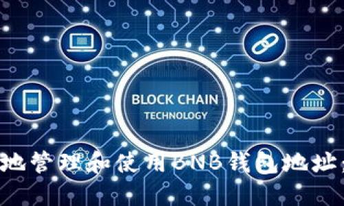 如何安全地管理和使用BNB钱包地址：完整指南
