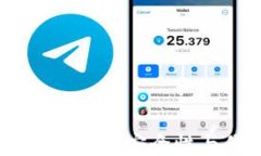 冷钱包的使用和设置指南：安全性与便捷性的完