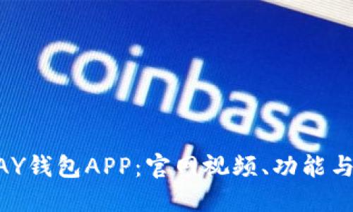 探索KDPAY钱包APP：官网视频、功能与使用指南